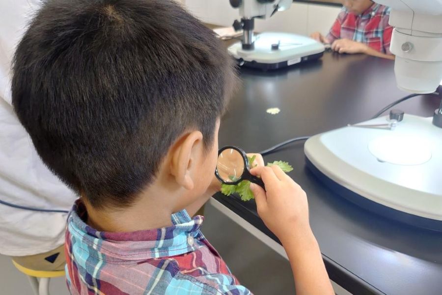 「蒸散」を学んで、植物がいかに欠かせないものなのか体感しよう（高知県立牧野植物園提供）