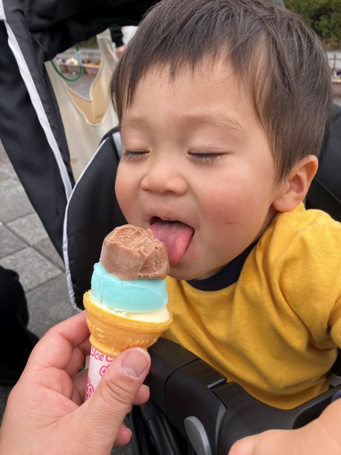 わんぱーくこうちで食べるアイスクリンにハマってます