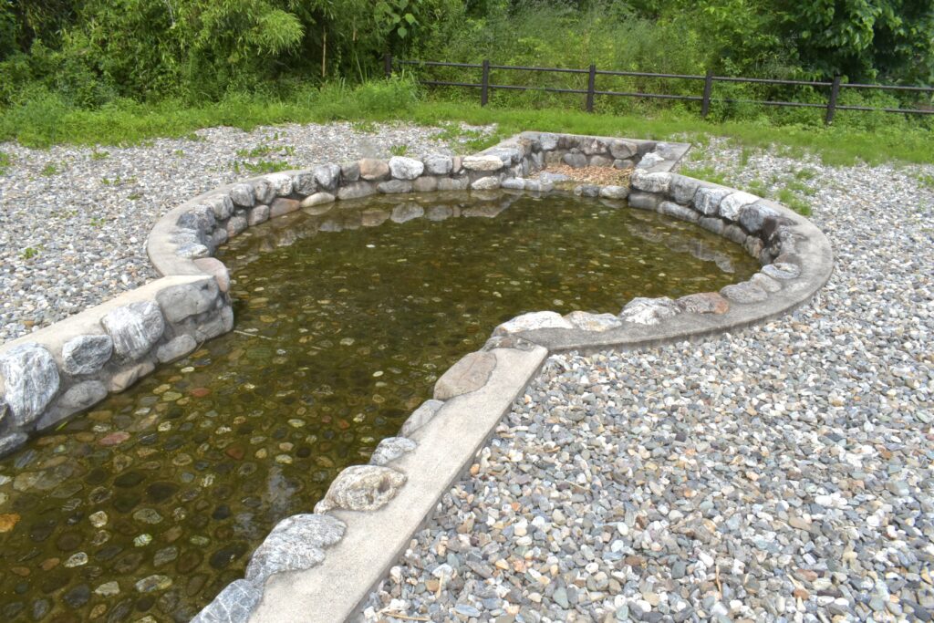 最後は池です。公園外に出る柵には注意してください