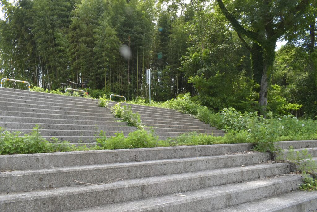正面は少し急な階段です。段差は低めです