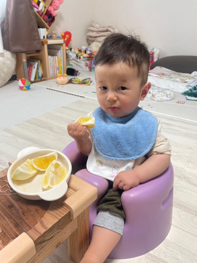 生後10ヶ月にして小夏にハマってます笑。上手に黄色いおいしいところだけ吸って食べます