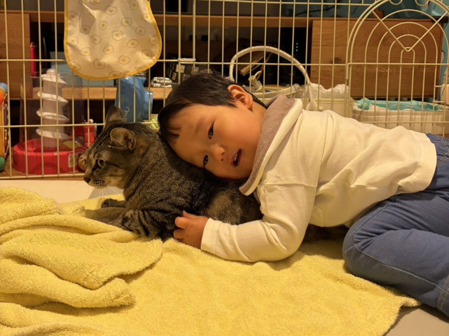 産まれた時から一緒！猫2匹にハマってます♡