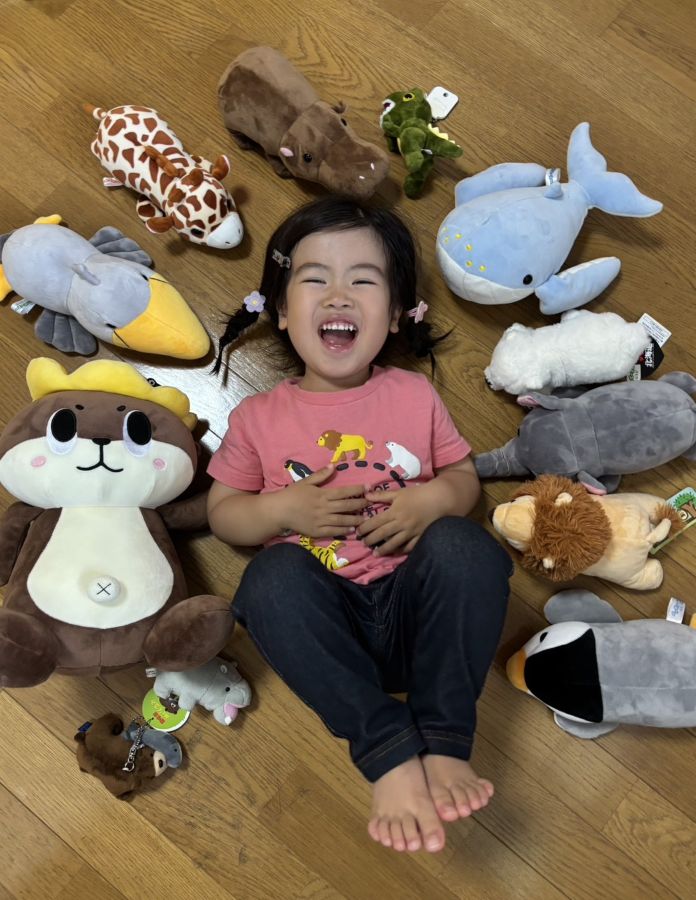 動物とぬいぐるみにハマってます！推しはカバさんです♪