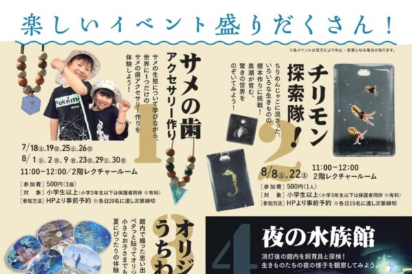 【2026年】土佐清水市の足摺海洋館「SATOUMI」 の夏イベント｜サメの歯アクセサリー、チリモンの標本、金魚ねぷた作り、夜の水族館…8/8は花火や縁日が楽しめます！