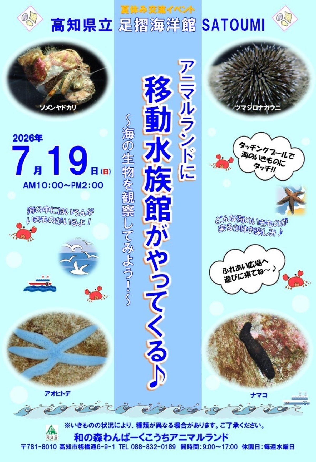 高知市で7/19に「アニマルランドに移動水族館がやってくる♪」（わんぱーくこうち）｜ヒトデやナマコなど海の生物に触れるタッチングプールが楽しめます