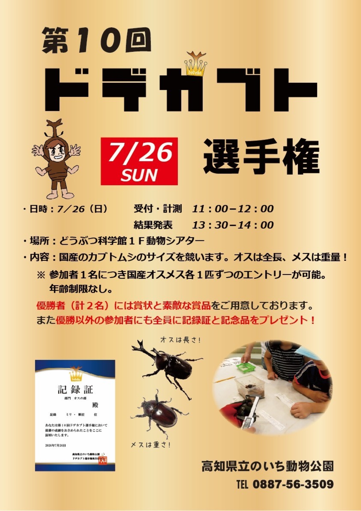 香南市で7/26に「第10回ドデカブト選手権」（高知県立のいち動物公園）｜国産カブトムシのサイズを競います。オスは全長、メスは重量。誰でも参加できます