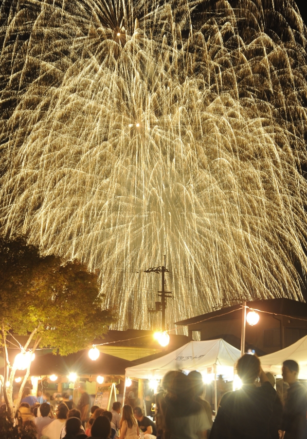 窪川の夜空に光のシャワーが降りそそいだ花火大会 （高知新聞2018年8月13日掲載）