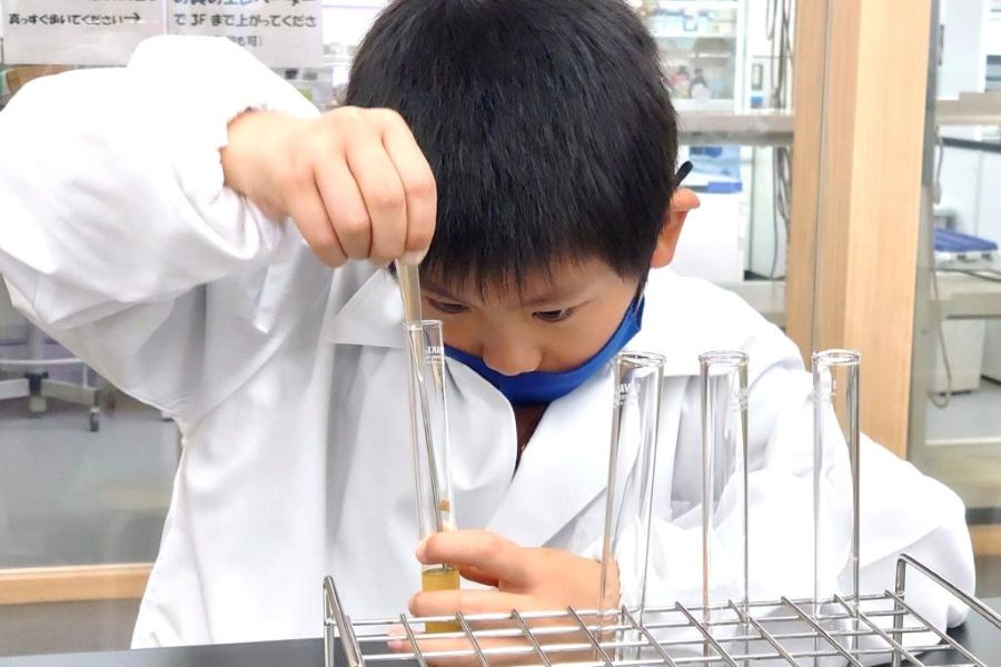 科学実験に挑戦しよう！（高知県立牧野植物園提供）