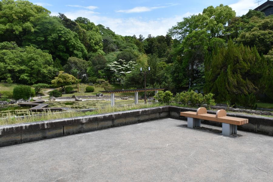 ベンチがあり、緑あふれる水辺の風景がよく見えます