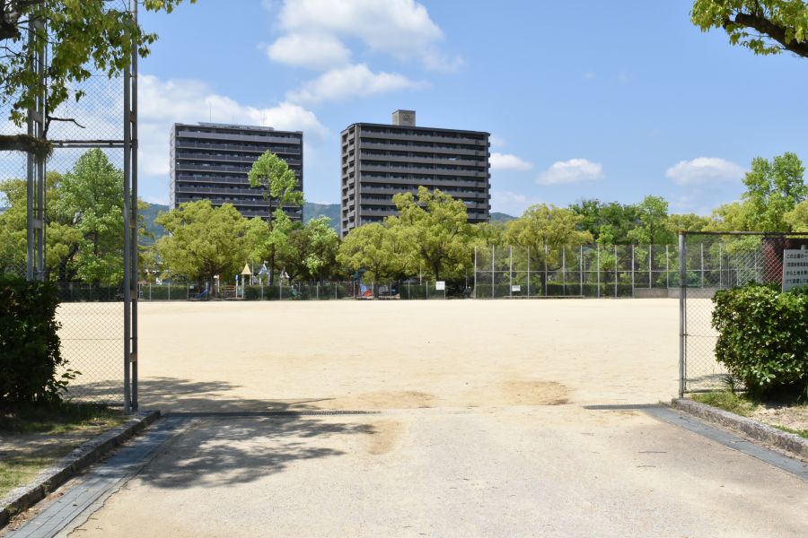 広い！