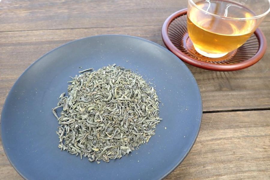 お茶の葉から（高知県立牧野植物園提供）