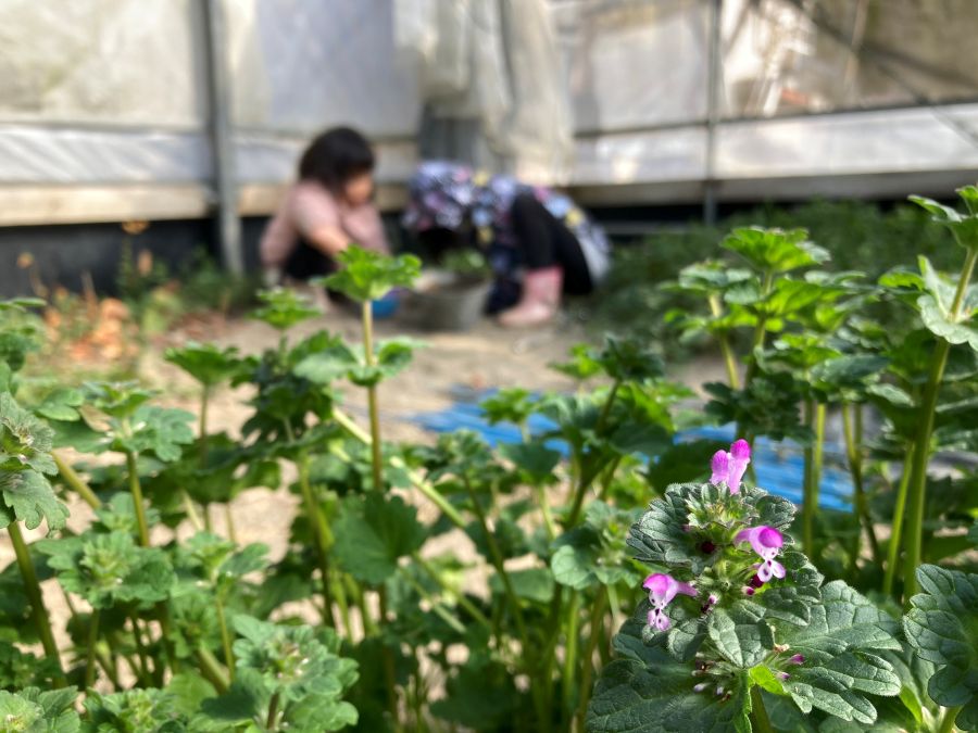 自分たちで「やること」を見つけることも