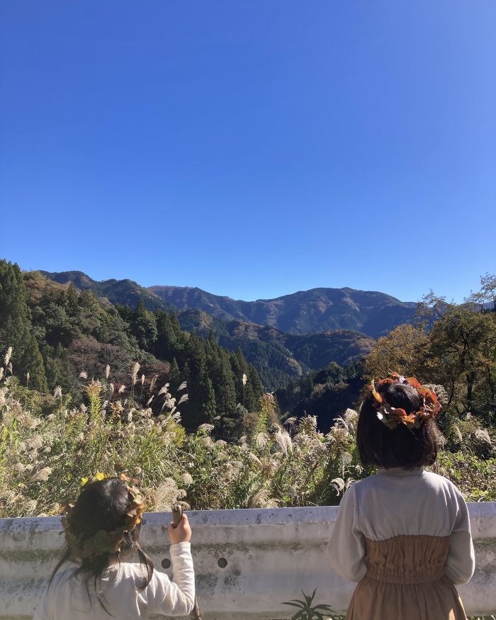 いつの間にか育っていました