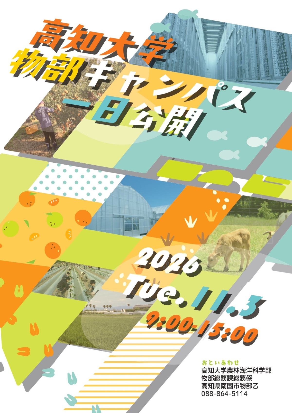 【2026年】南国市で11/3仁「高知大学物部キャンパス一日公開」｜ミカン狩り、お芋堀り、薪割りや火起こし体験…グルメやキッチンカーも並びます