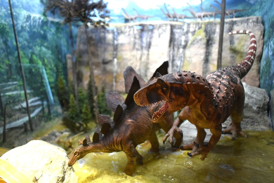 肉食恐竜に出会ってしまったステゴサウルス…